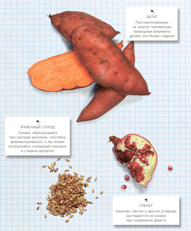 Иллюстрация к книге — Ингредиенты. Химия и алхимия гастрономического творчества [i_053.jpg]