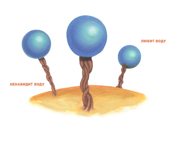 Иллюстрация к книге — Ингредиенты. Химия и алхимия гастрономического творчества [i_060.jpg]