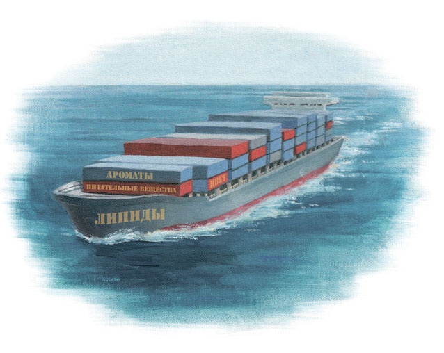 Иллюстрация к книге — Ингредиенты. Химия и алхимия гастрономического творчества [i_064.jpg]