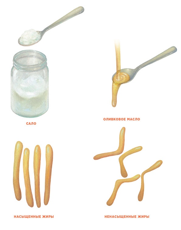 Иллюстрация к книге — Ингредиенты. Химия и алхимия гастрономического творчества [i_068.jpg]