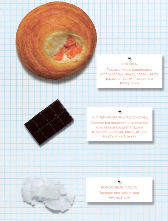 Иллюстрация к книге — Ингредиенты. Химия и алхимия гастрономического творчества [i_069.jpg]