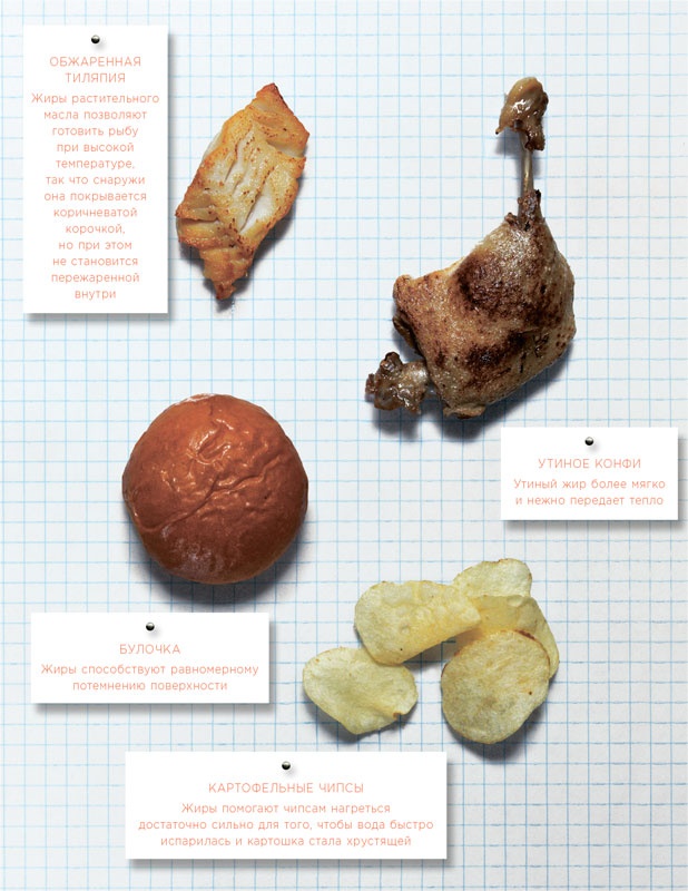 Иллюстрация к книге — Ингредиенты. Химия и алхимия гастрономического творчества [i_073.jpg]