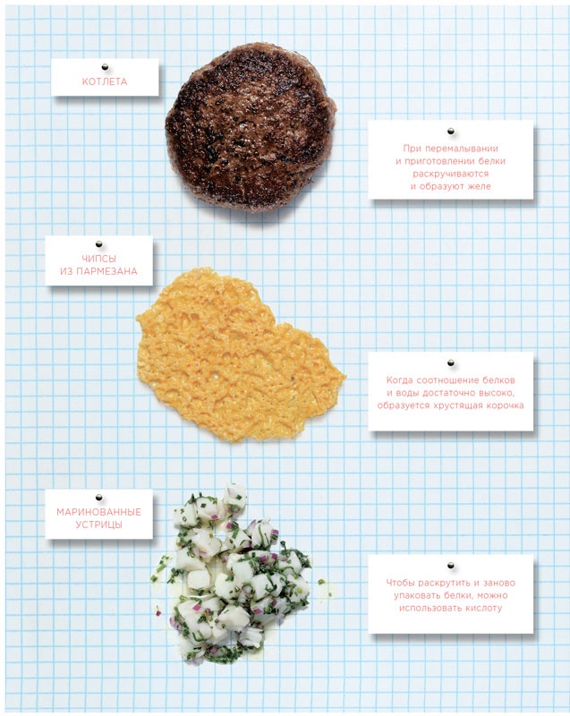 Иллюстрация к книге — Ингредиенты. Химия и алхимия гастрономического творчества [i_080.jpg]