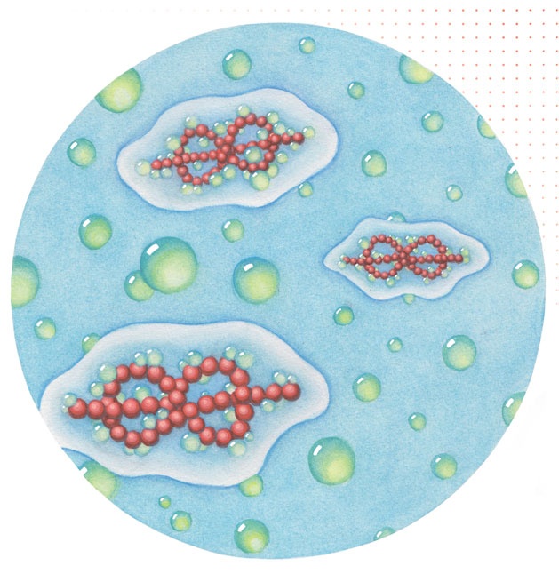 Иллюстрация к книге — Ингредиенты. Химия и алхимия гастрономического творчества [i_082.jpg]