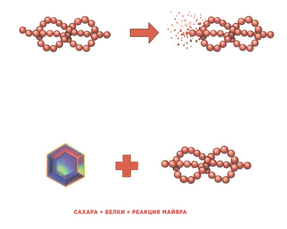 Иллюстрация к книге — Ингредиенты. Химия и алхимия гастрономического творчества [i_085.jpg]