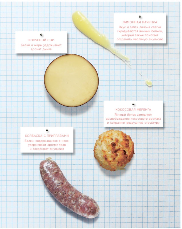 Иллюстрация к книге — Ингредиенты. Химия и алхимия гастрономического творчества [i_092.jpg]