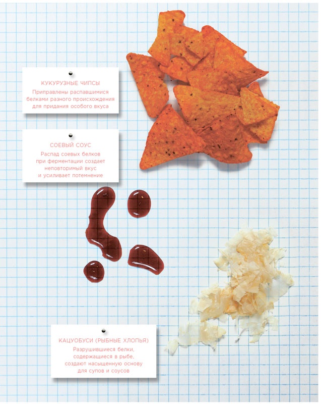 Иллюстрация к книге — Ингредиенты. Химия и алхимия гастрономического творчества [i_098.jpg]