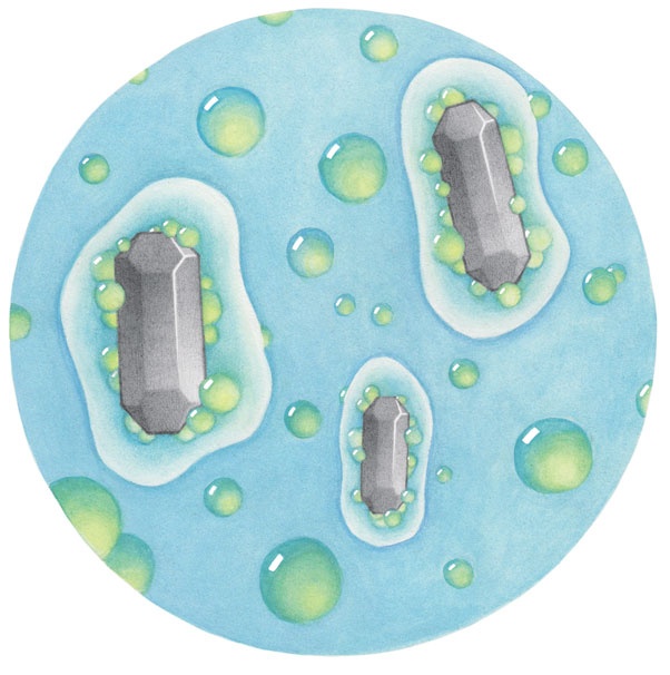 Иллюстрация к книге — Ингредиенты. Химия и алхимия гастрономического творчества [i_106.jpg]