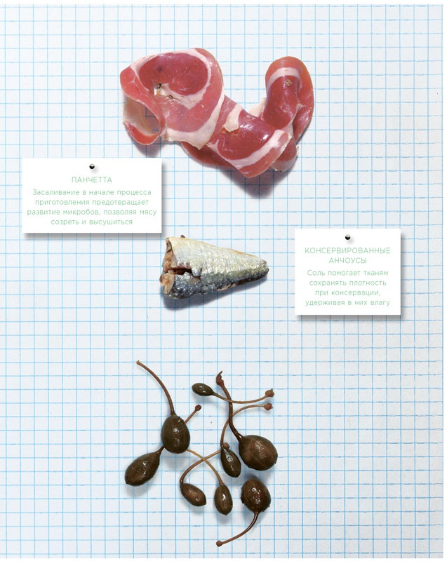 Иллюстрация к книге — Ингредиенты. Химия и алхимия гастрономического творчества [i_108.jpg]