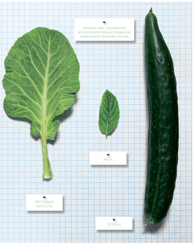 Иллюстрация к книге — Ингредиенты. Химия и алхимия гастрономического творчества [i_111.jpg]