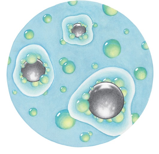 Иллюстрация к книге — Ингредиенты. Химия и алхимия гастрономического творчества [i_113.jpg]