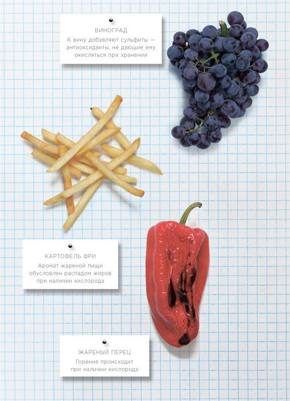 Иллюстрация к книге — Ингредиенты. Химия и алхимия гастрономического творчества [i_121.jpg]