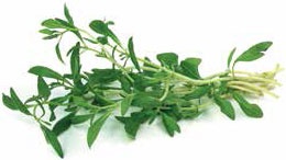 Иллюстрация к книге — Кулинарная энциклопедия. Том 40. Ц – Я (Цыпленок – Ячмень) [_101.jpg]