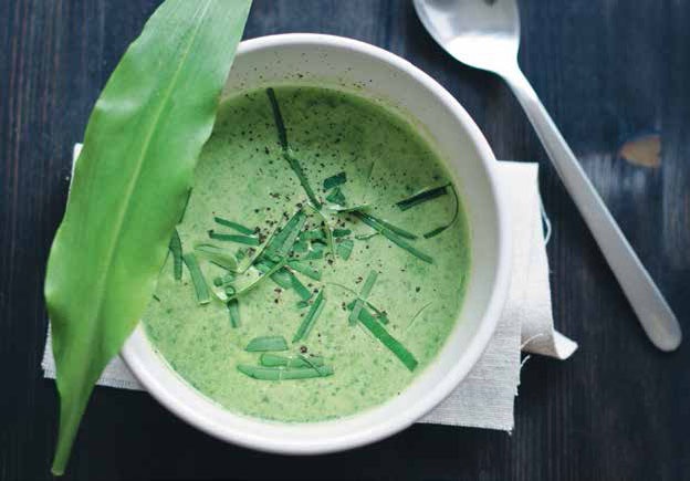 Иллюстрация к книге — Кулинарная энциклопедия. Том 40. Ц – Я (Цыпленок – Ячмень) [_15.jpg]