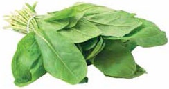 Иллюстрация к книге — Кулинарная энциклопедия. Том 40. Ц – Я (Цыпленок – Ячмень) [_75.jpg]