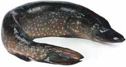 Иллюстрация к книге — Кулинарная энциклопедия. Том 40. Ц – Я (Цыпленок – Ячмень) [_78.jpg]