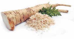 Иллюстрация к книге — Кулинарная энциклопедия. Том 39. Х – Ц (Халтура – Цукини) [_53.jpg]