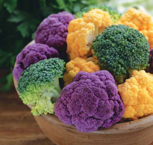 Иллюстрация к книге — Кулинарная энциклопедия. Том 39. Х – Ц (Халтура – Цукини) [_68.jpg]