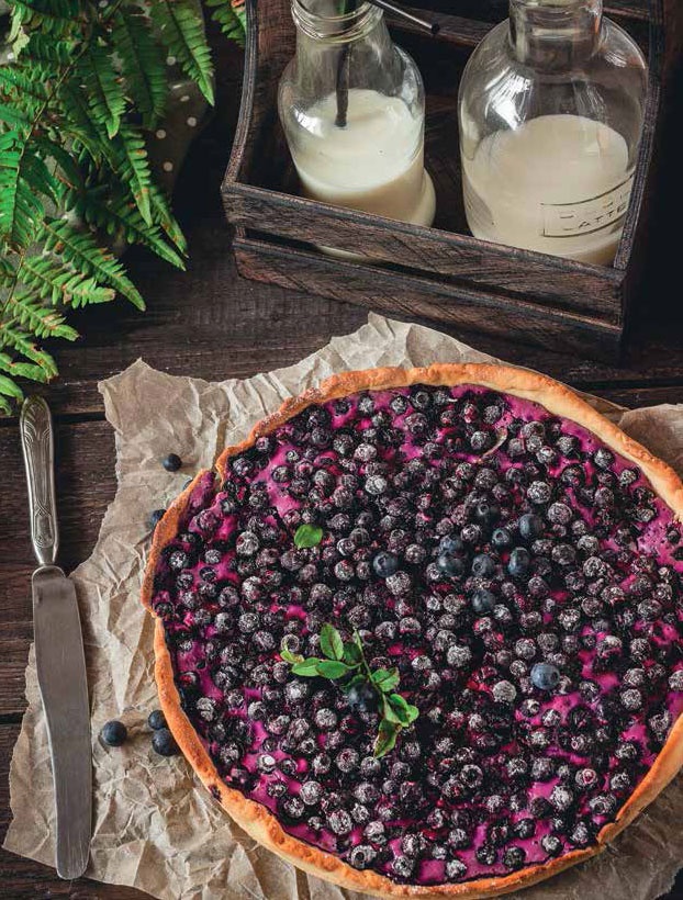 Иллюстрация к книге — Кулинарная энциклопедия. Том 38. Ф – Х (Финокки – Халва) [_5.jpg]