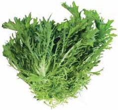 Иллюстрация к книге — Кулинарная энциклопедия. Том 38. Ф – Х (Финокки – Халва) [_61.jpg]