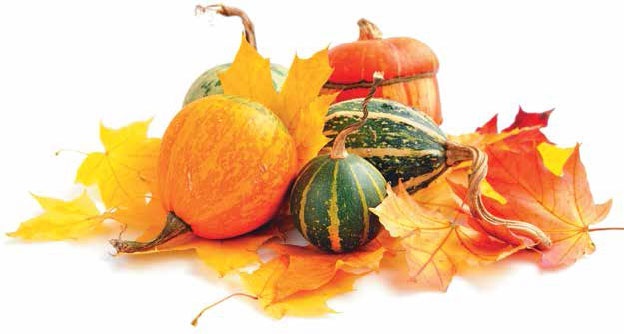 Иллюстрация к книге — Кулинарная энциклопедия. Том 37. Т – Ф (Тунец – Фасолица) [_21.jpg]