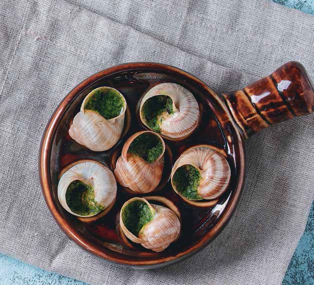 Иллюстрация к книге — Кулинарная энциклопедия. Том 37. Т – Ф (Тунец – Фасолица) [_59.jpg]