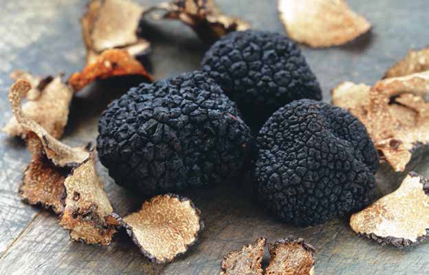 Иллюстрация к книге — Кулинарная энциклопедия. Том 36. Т (Тахина – Тулумба) [_104.jpg]