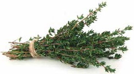 Иллюстрация к книге — Кулинарная энциклопедия. Том 36. Т (Тахина – Тулумба) [_36.jpg]