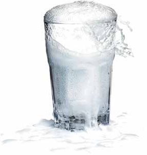 Иллюстрация к книге — Кулинарная энциклопедия. Том 36. Т (Тахина – Тулумба) [_9.jpg]