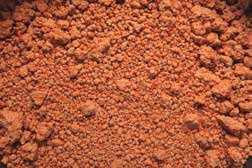 Иллюстрация к книге — Кулинарная энциклопедия. Том 35. С – Т (Судак – Тафельшпиц) [_105.jpg]