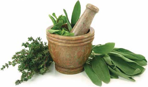 Иллюстрация к книге — Кулинарная энциклопедия. Том 34. С (Сливки – Сугудай) [_112.jpg]