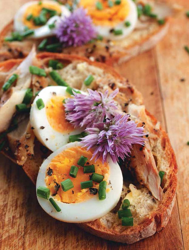 Иллюстрация к книге — Кулинарная энциклопедия. Том 34. С (Сливки – Сугудай) [_79.jpg]