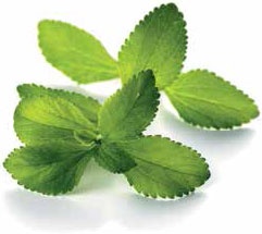 Иллюстрация к книге — Кулинарная энциклопедия. Том 34. С (Сливки – Сугудай) [_82.jpg]