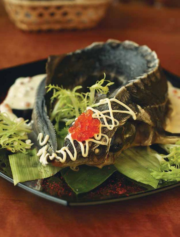 Иллюстрация к книге — Кулинарная энциклопедия. Том 34. С (Сливки – Сугудай) [_98.jpg]