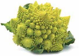 Иллюстрация к книге — Кулинарная энциклопедия. Том 32. Р-С (Рольмопс – Сандей) [_3.jpg]