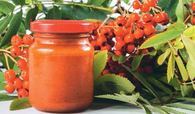 Иллюстрация к книге — Кулинарная энциклопедия. Том 32. Р-С (Рольмопс – Сандей) [_41.jpg]