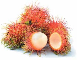 Иллюстрация к книге — Кулинарная энциклопедия. Том 31. Р (Ражничи – Ролл) [_12.jpg]