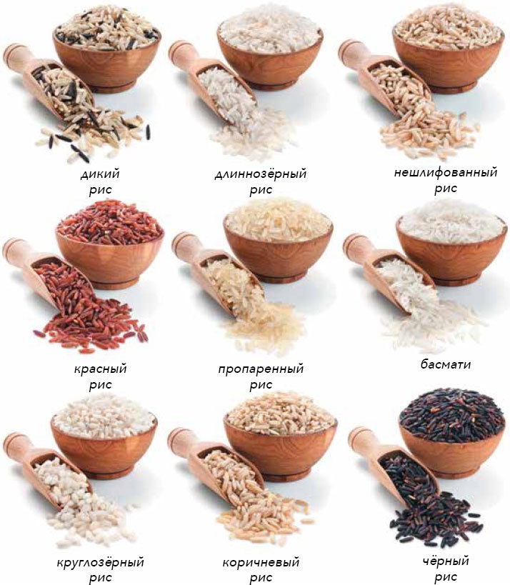 Иллюстрация к книге — Кулинарная энциклопедия. Том 31. Р (Ражничи – Ролл) [_68.jpg]