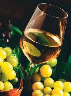 Иллюстрация к книге — Кулинарная энциклопедия. Том 31. Р (Ражничи – Ролл) [_73.jpg]