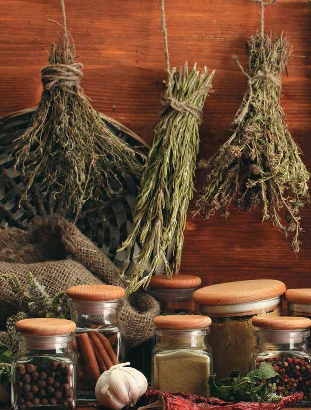 Иллюстрация к книге — Кулинарная энциклопедия. Том 30. П-Р (Поросёнок – Радиккьо) [_34.jpg]