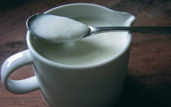 Иллюстрация к книге — Кулинарная энциклопедия. Том 30. П-Р (Поросёнок – Радиккьо) [_40.jpg]