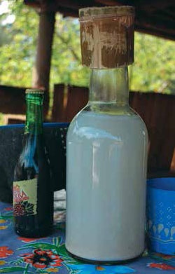 Иллюстрация к книге — Кулинарная энциклопедия. Том 30. П-Р (Поросёнок – Радиккьо) [_72.jpg]