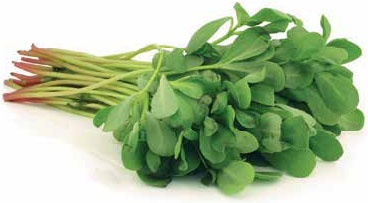 Иллюстрация к книге — Кулинарная энциклопедия. Том 30. П-Р (Поросёнок – Радиккьо) [_8.jpg]