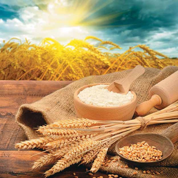 Иллюстрация к книге — Кулинарная энциклопедия. Том 30. П-Р (Поросёнок – Радиккьо) [_80.jpg]