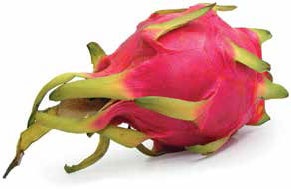 Иллюстрация к книге — Кулинарная энциклопедия. Том 29. П (Пита – Попьет) [_3.jpg]