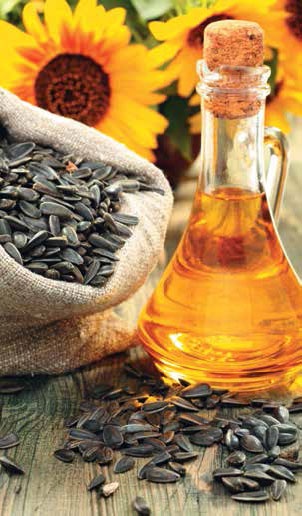 Иллюстрация к книге — Кулинарная энциклопедия. Том 29. П (Пита – Попьет) [_51.jpg]