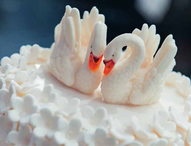 Иллюстрация к книге — Кулинарная энциклопедия. Том 29. П (Пита – Попьет) [_71.jpg]