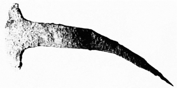 Иллюстрация к книге — Готы. Первая полная энциклопедия [i_039.jpg]