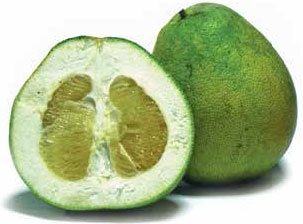 Иллюстрация к книге — Кулинарная энциклопедия. Том 2. Б (Баба – Бефстроганов) [_119.jpg]