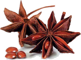 Иллюстрация к книге — Кулинарная энциклопедия. Том 2. Б (Баба – Бефстроганов) [_12.jpg]